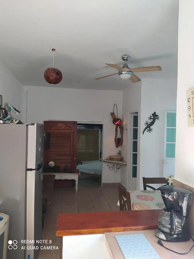 La Casa Del Cenote Apartment Playa del Carmen