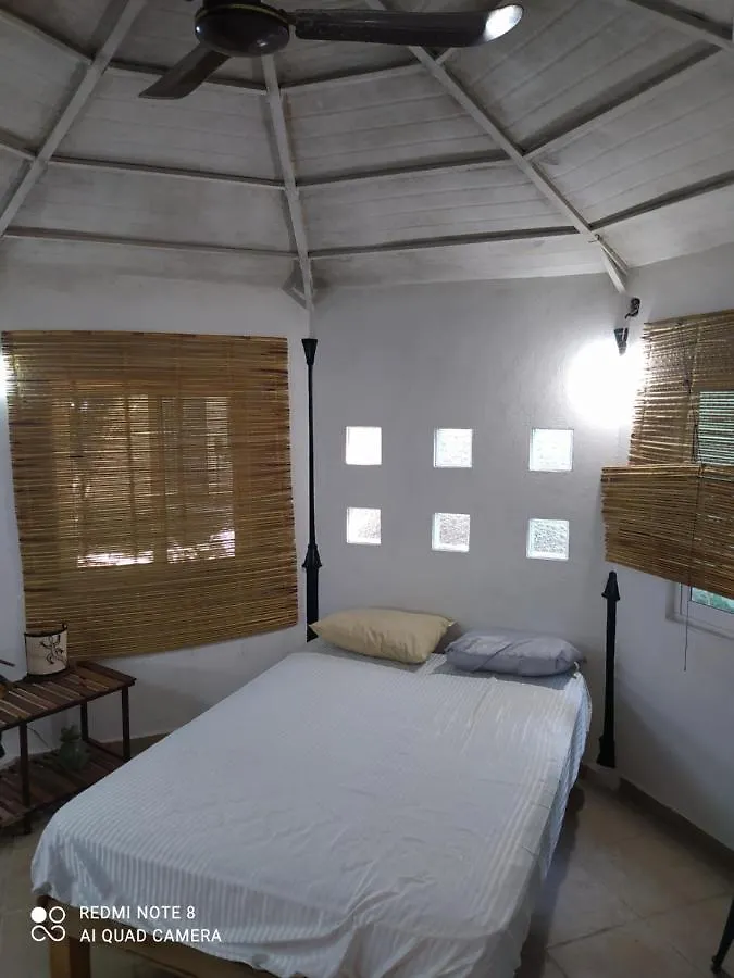 La Casa Del Cenote Apartment Playa del Carmen Mexico